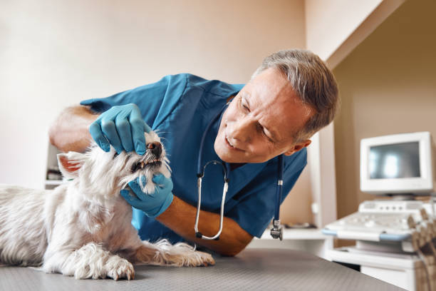 Best Broken or Cracked Tooth Emergency Dentist in Crosbyton, TX